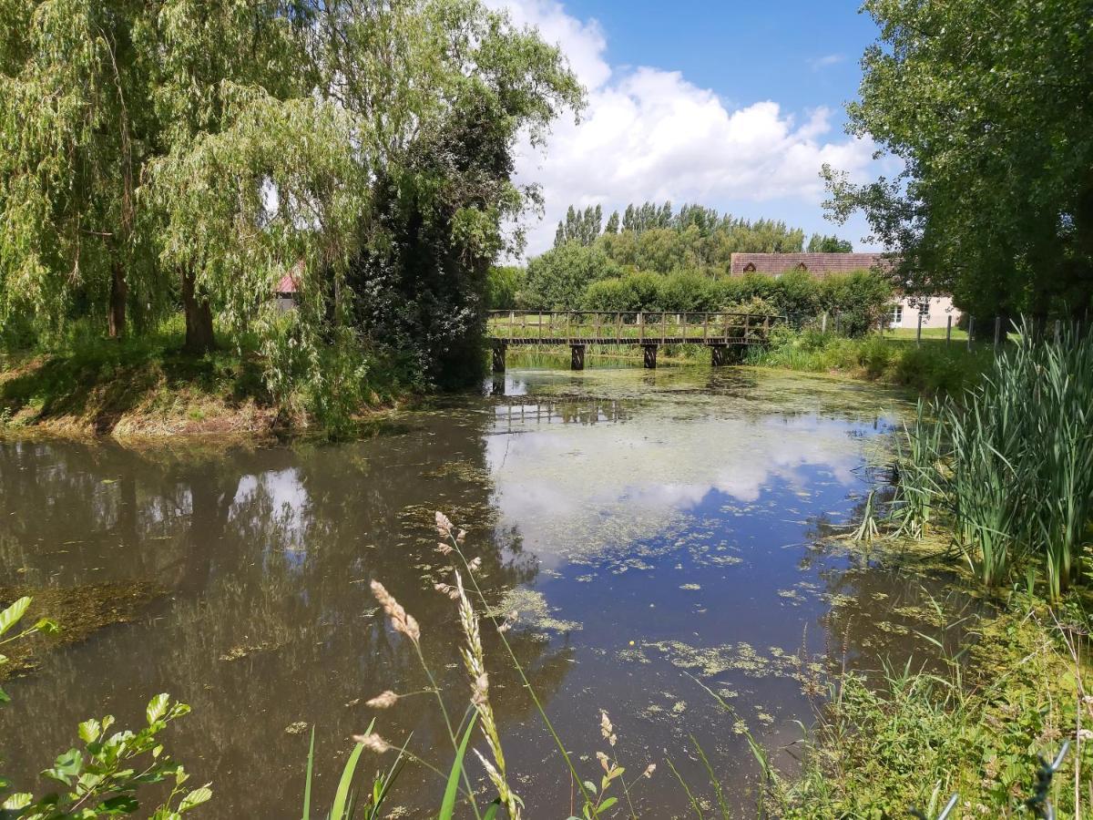 Le Bonheur Des Plumes Montmartin-en-Graignes Exterior foto